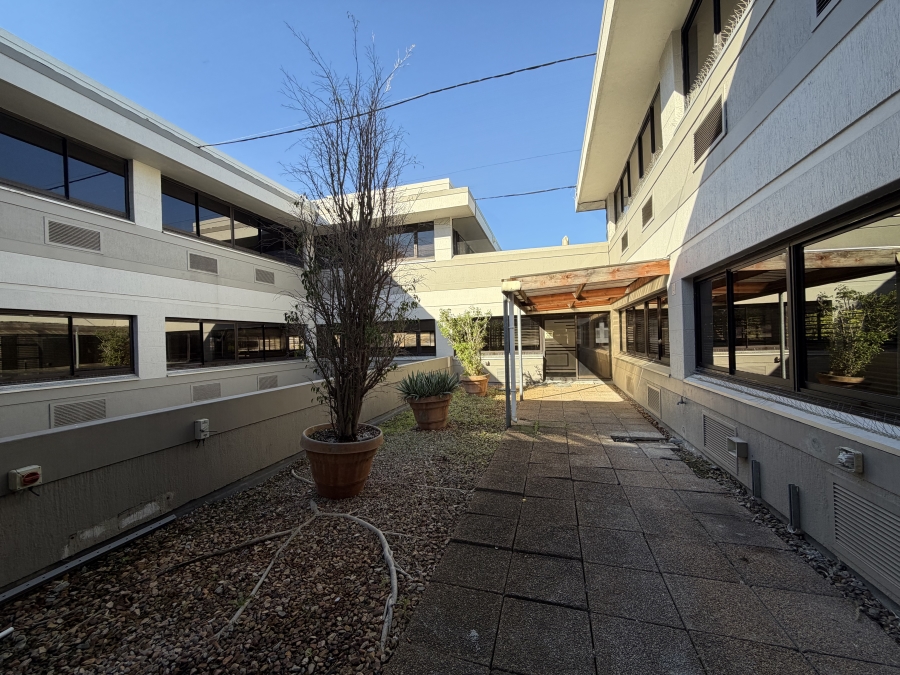 To Let Commercial Property for Rent in Mowbray Western Cape